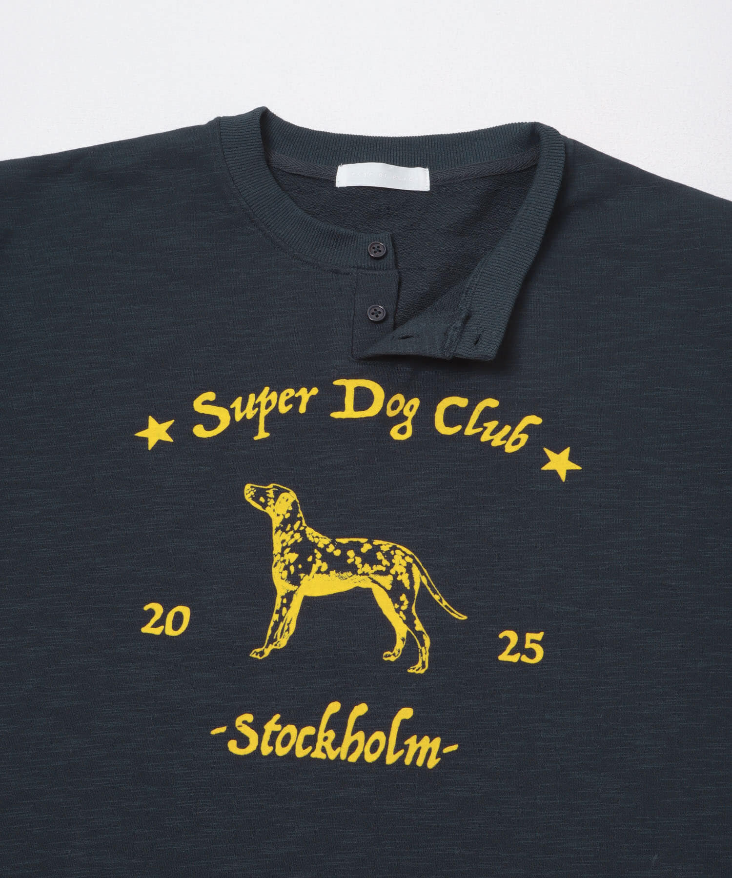 SENSE OF PLACE by URBAN RESEARCH「ヴィンテージグラフィックヘンリーネックTシャツ」|Tシャツ・カットソー|