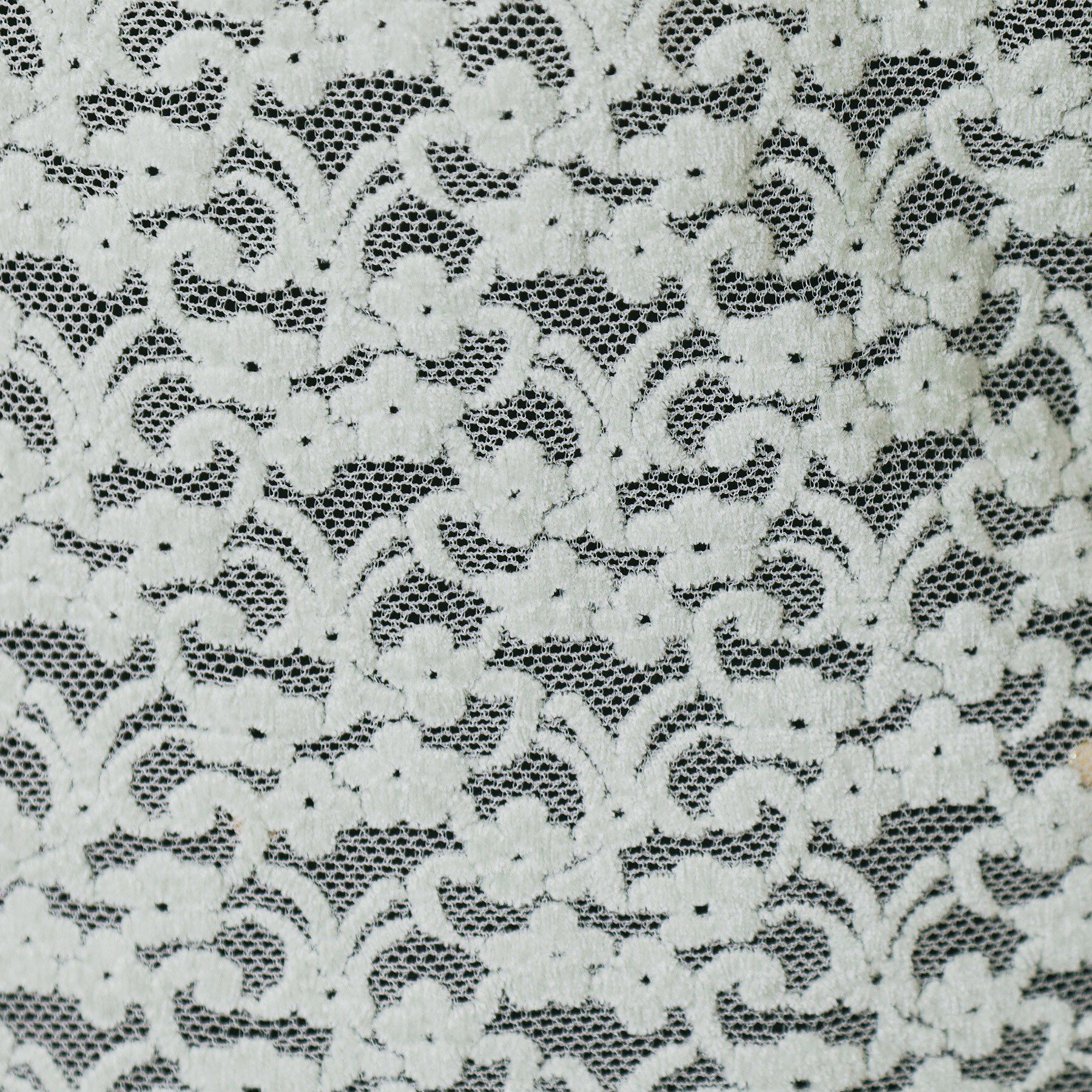 index「モールレースシアートップス【洗濯機OK】」|Tシャツ・カットソー|