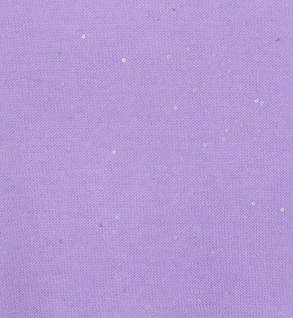 Ballsey「ミニスパンコール クルーネックプルオーバー」|ニット・セーター|