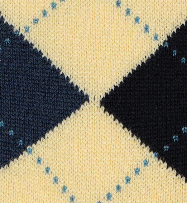 TOMORROWLAND GOODS「BRESCIANI ウールナイロン アーガイルソックス」|ソックス|