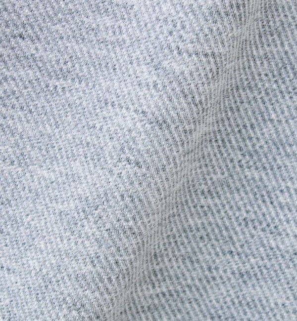 GLOSTER「【セットアップ対応】カルゼラダーステッチ クルーネックTシャツ」|Tシャツ・カットソー|