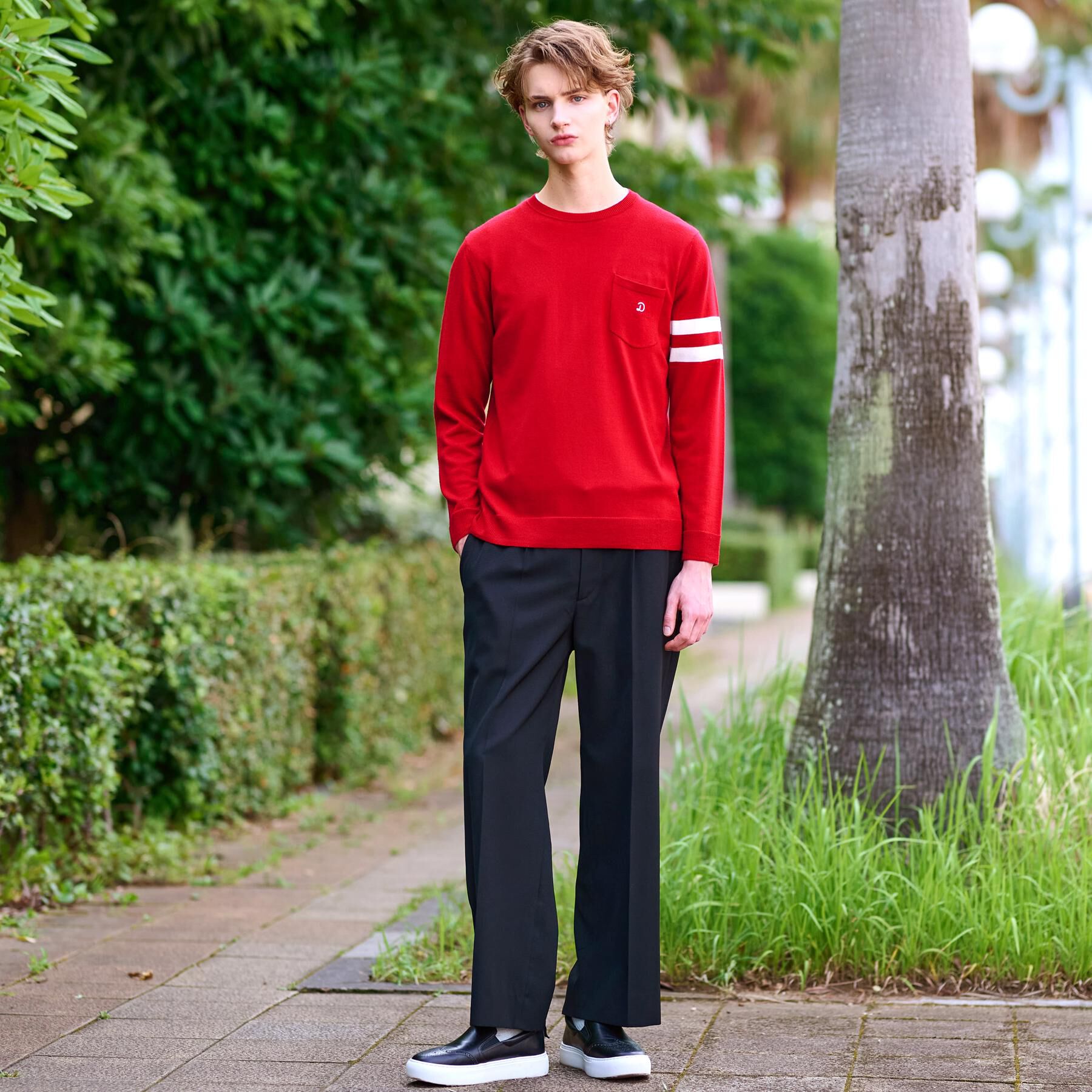 DRESSTERIOR「ウォッシャブルファインメリノ クルーネックニット」|ニット・セーター|