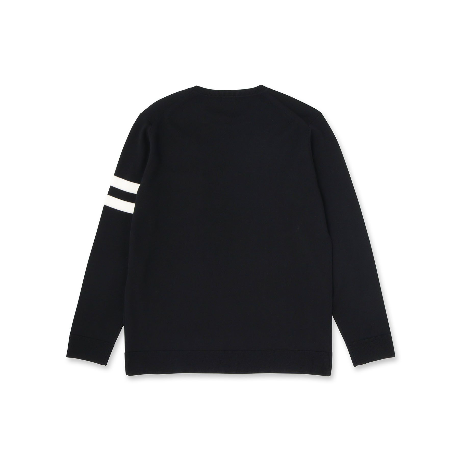 DRESSTERIOR「ウォッシャブルファインメリノ クルーネックニット」|ニット・セーター|