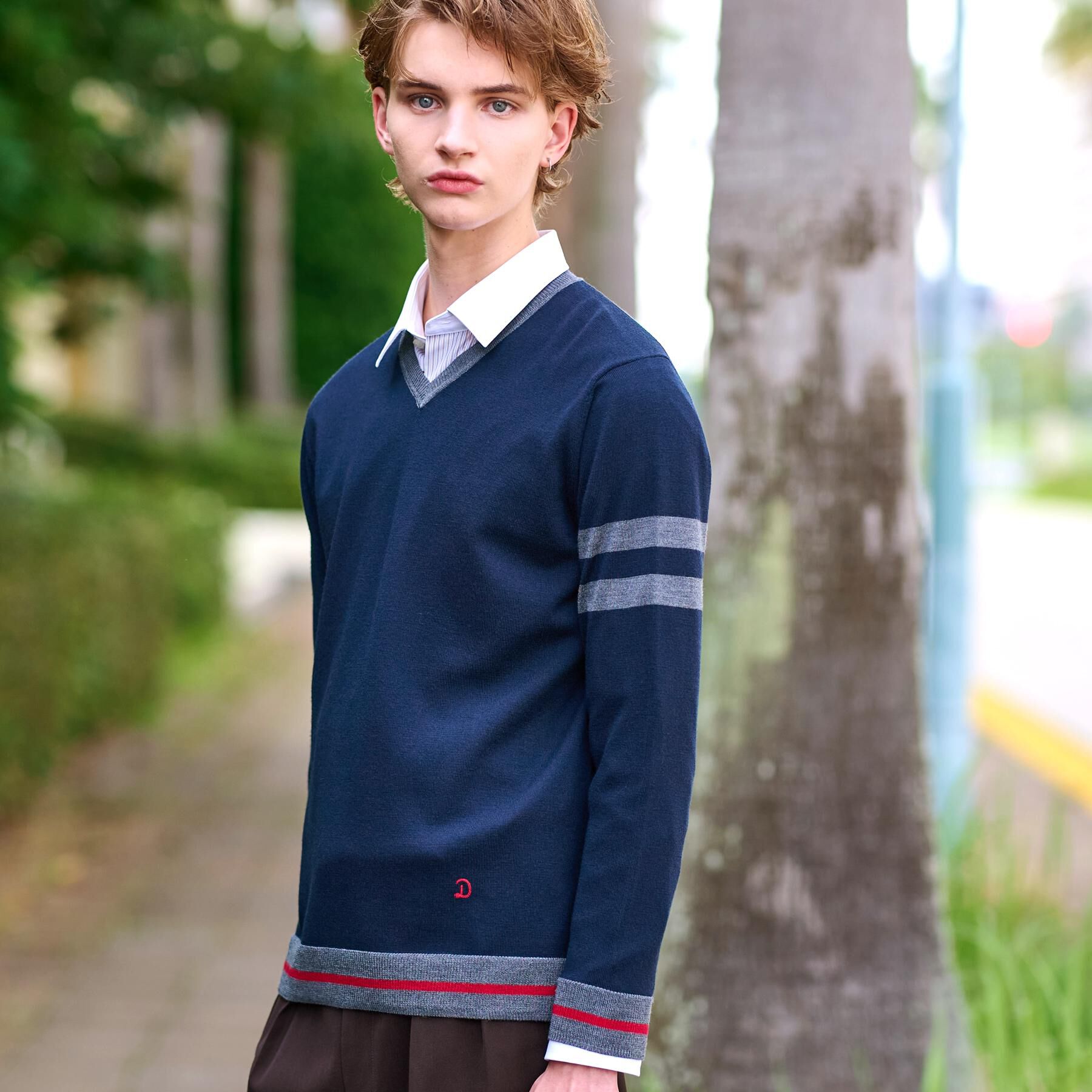 DRESSTERIOR「ウォッシャブルファインメリノ Vネックニット」|ニット・セーター|