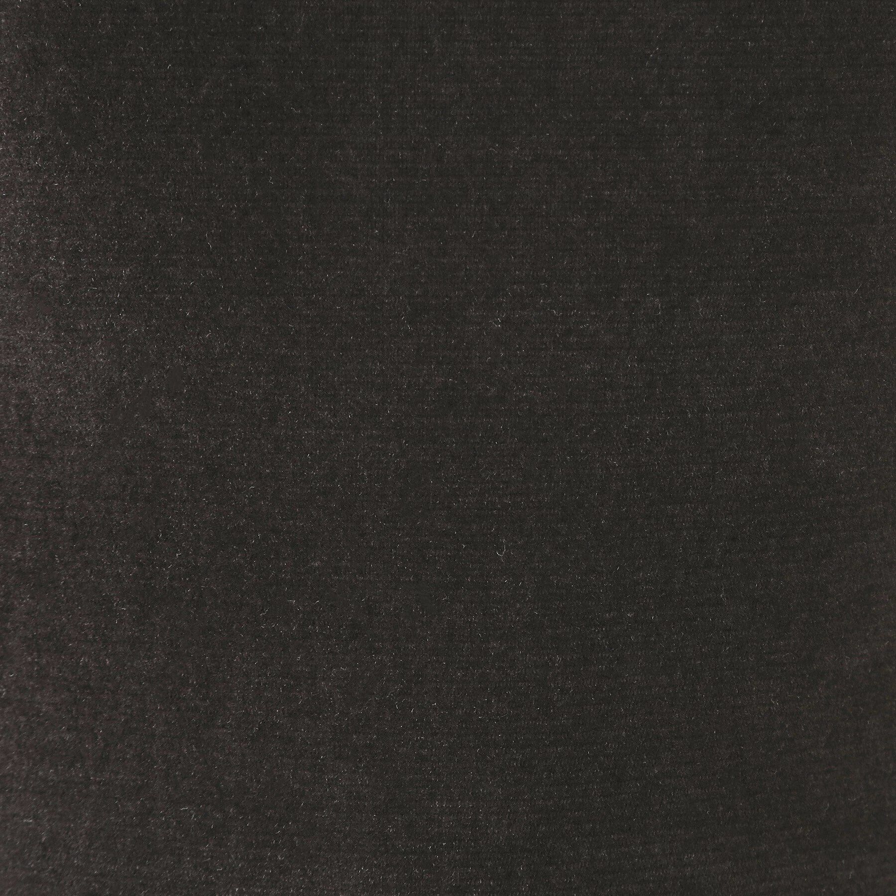 OPAQUE.CLIP「シアーベロアトップス【洗濯機洗い可】」|Tシャツ・カットソー|