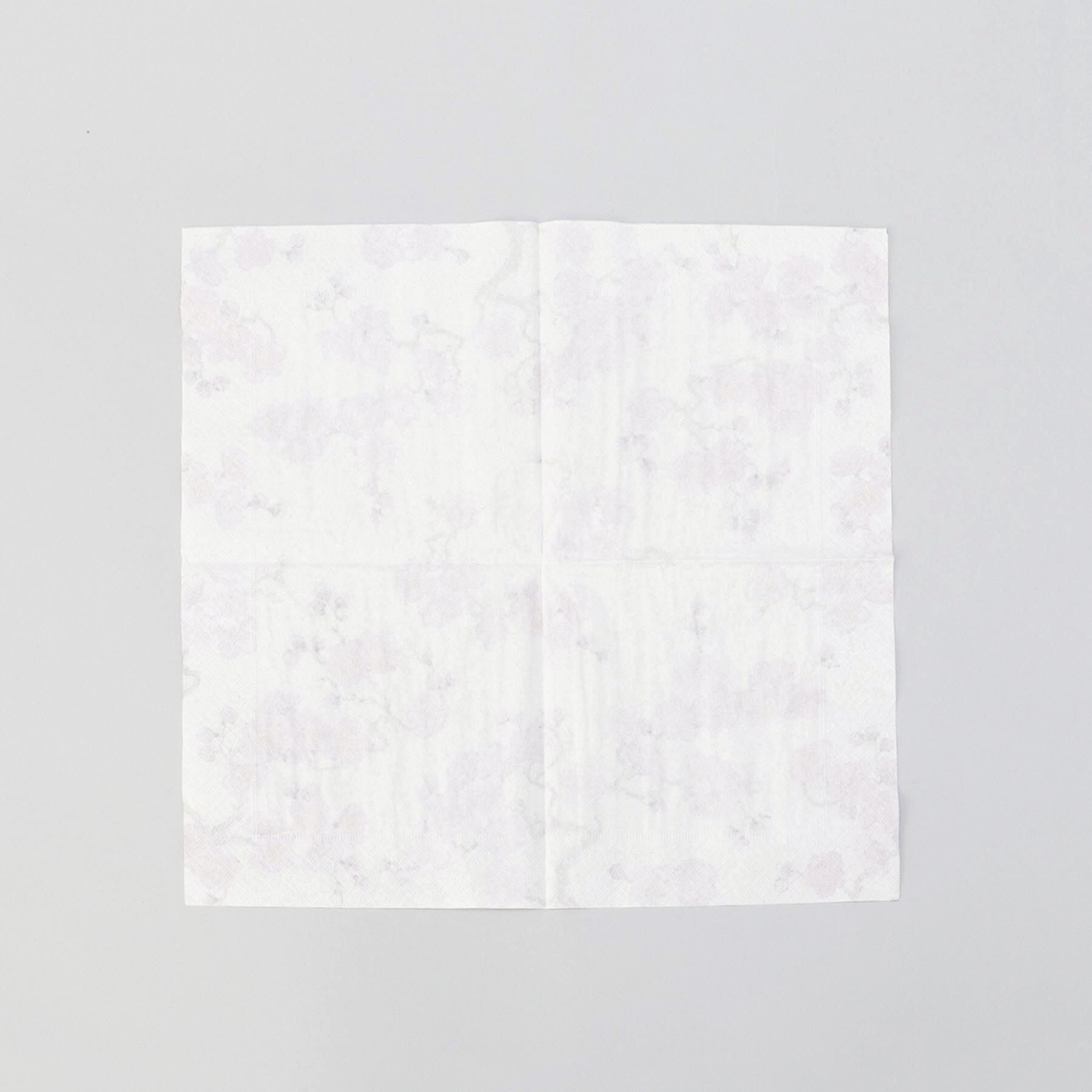 212 KITCHEN STORE「カスパリペーパータオル 10枚　プラムブロッサム パール」|食器・キッチングッズ|