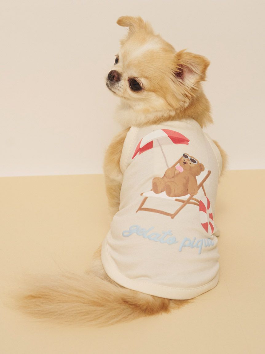  GELATO PIQUE CAT&DOG「【CAT&DOG】【接触冷感】サマーベア柄プルオーバー」|その他|IVR