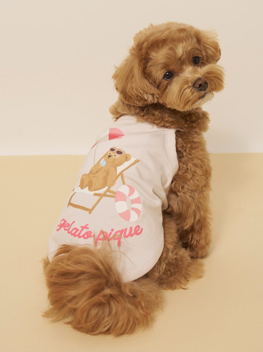  GELATO PIQUE CAT&DOG「【CAT&DOG】【接触冷感】サマーベア柄プルオーバー」|その他|