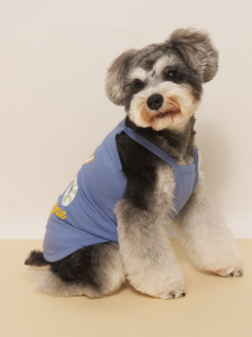  GELATO PIQUE CAT&DOG「【CAT&DOG】【接触冷感】サマーベア柄プルオーバー」|その他|