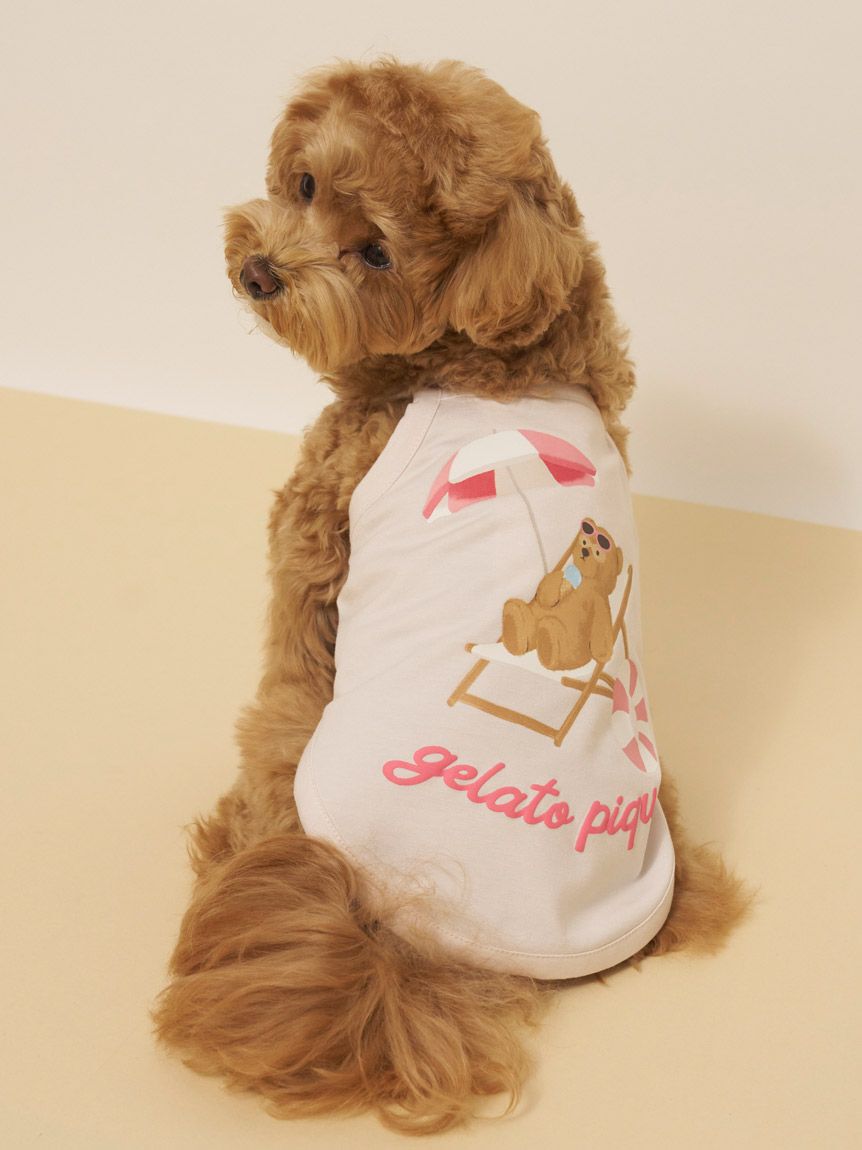  GELATO PIQUE CAT&DOG「【CAT&DOG】【接触冷感】サマーベア柄プルオーバー」|その他|PNK