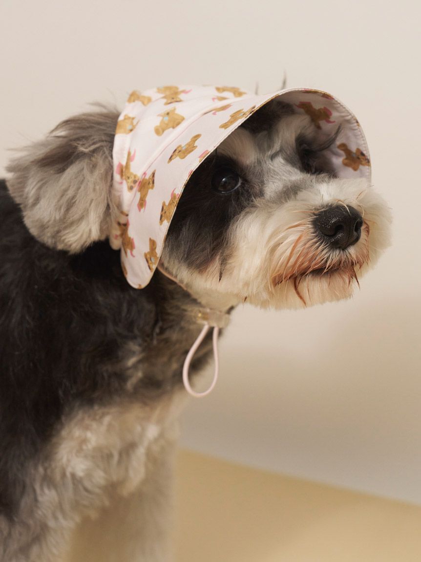  GELATO PIQUE CAT&DOG「【CAT&DOG】サマーベア柄ハット」|その他|