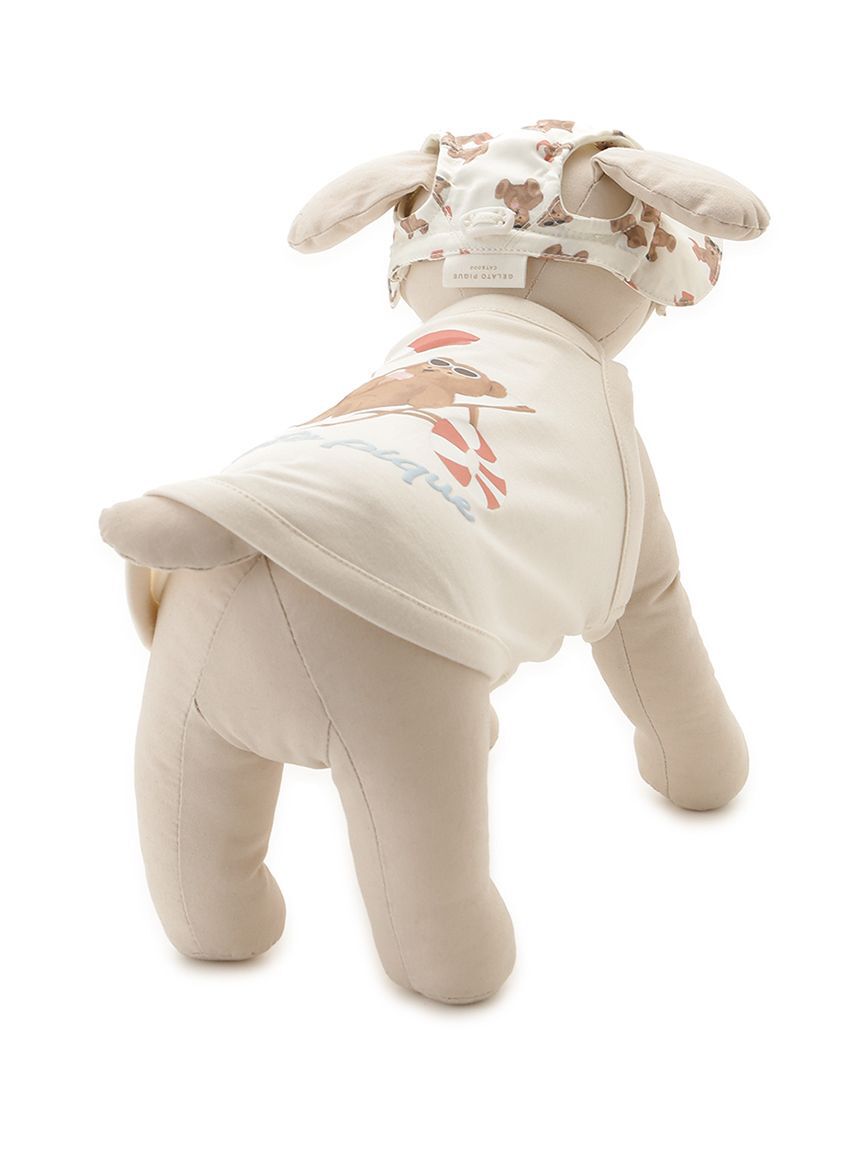  GELATO PIQUE CAT&DOG「【CAT&DOG】サマーベア柄ハット」|その他|