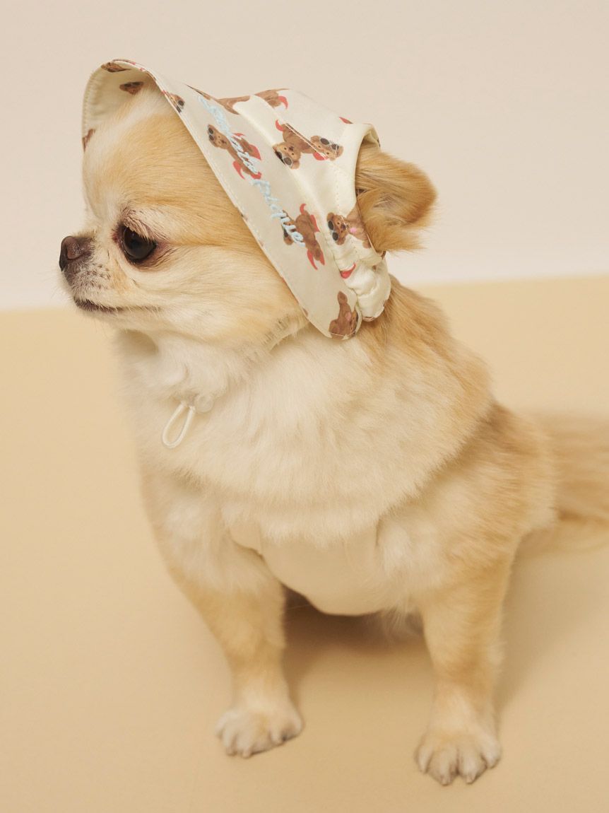  GELATO PIQUE CAT&DOG「【CAT&DOG】サマーベア柄ハット」|その他|