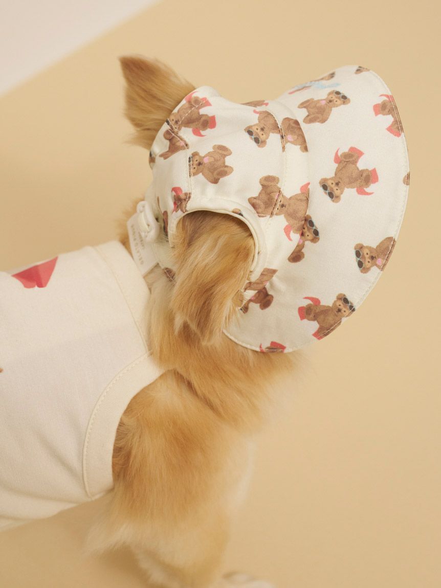  GELATO PIQUE CAT&DOG「【CAT&DOG】サマーベア柄ハット」|その他|