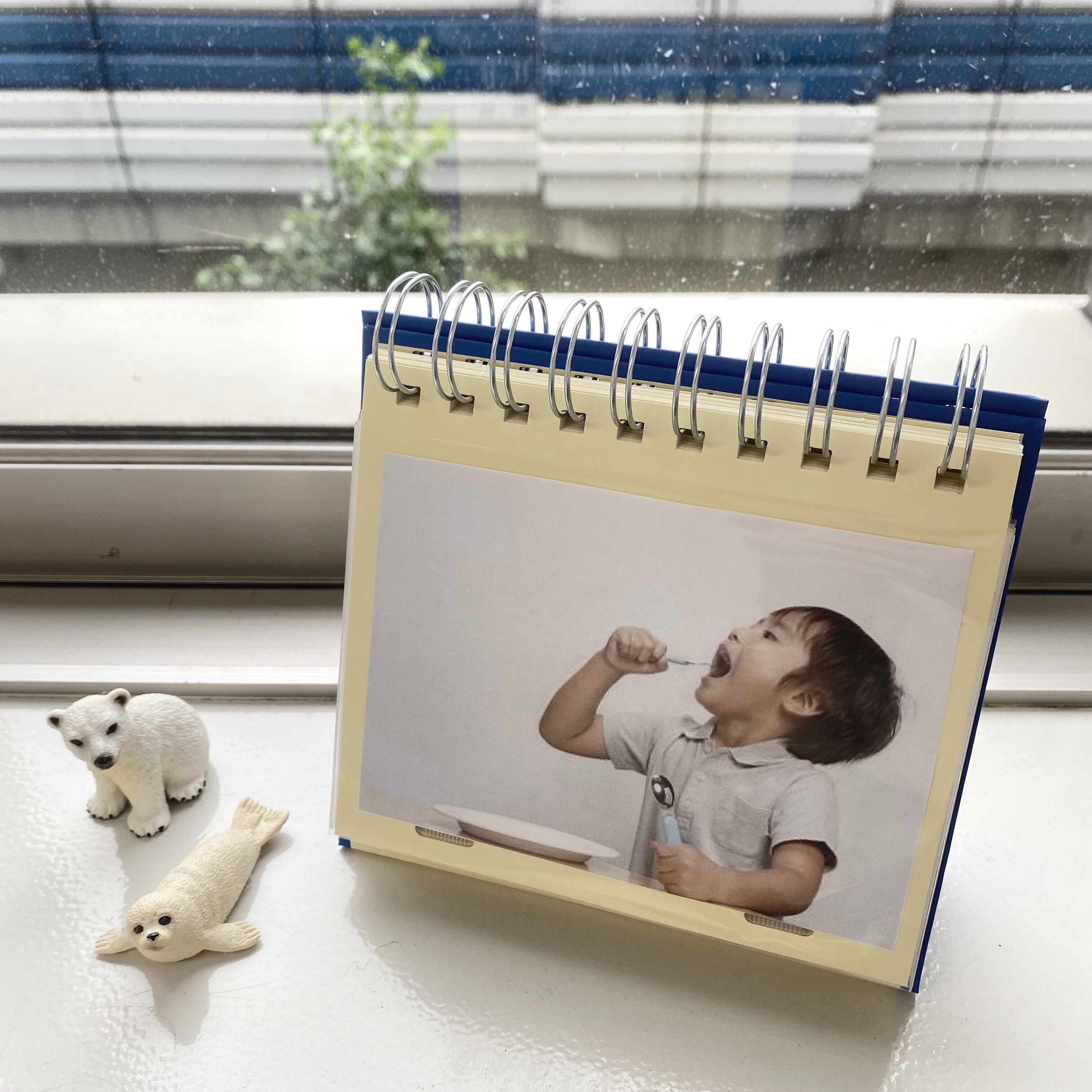  「［L判サイズ･100枚収納可］　コレクションアルバム・アニマル」|ステーショナリー|