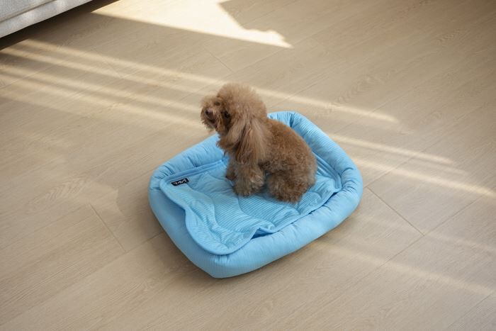 BACKYARD FAMILY「ペットベット ひんやり 通販 スクエアペットベッド スクエア クールパッド ペットマット」|その他|