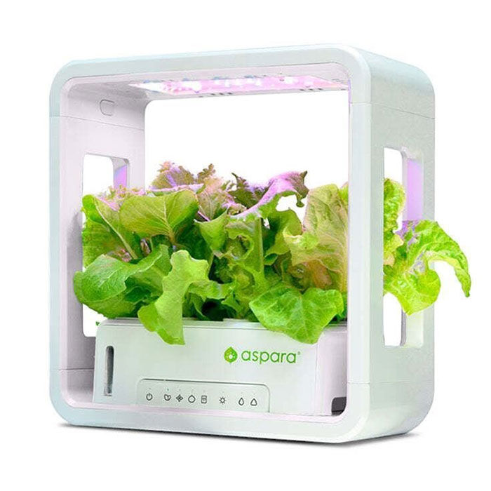 BACKYARD FAMILY「水耕栽培キット 通販 水耕栽培 野菜栽培 家庭菜園 屋内用水耕栽培キット 自動水やり 室内菜園」|その他|