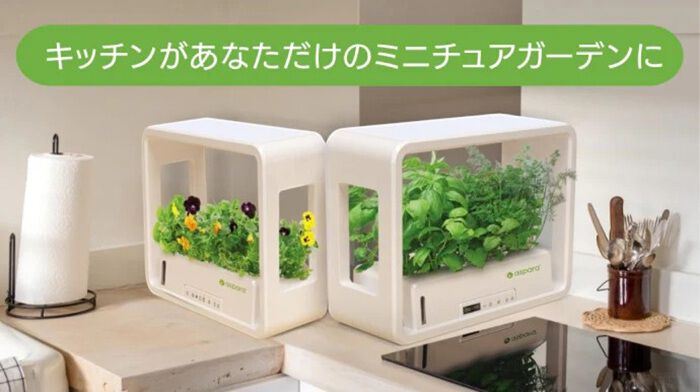 BACKYARD FAMILY「水耕栽培キット 通販 水耕栽培 野菜栽培 家庭菜園 屋内用水耕栽培キット 自動水やり 室内菜園」|その他|