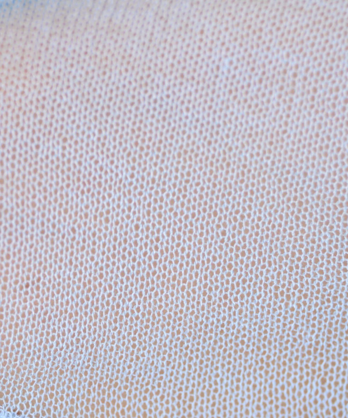 アンドクチュール「シアーニットクルーネックプルオーバー」|ニット・セーター|