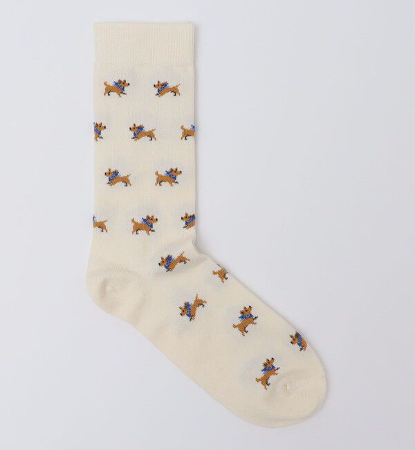 SHIPS「ROYALTIES: ARBERT」|ソックス|アイボリー