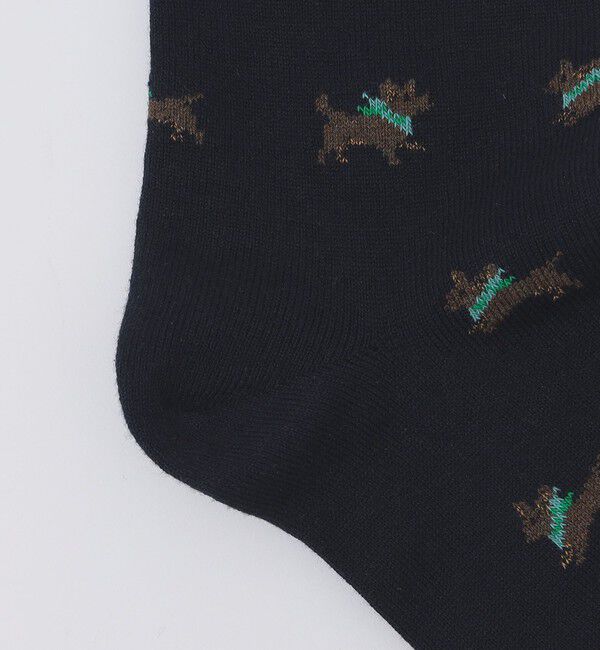 SHIPS「ROYALTIES: ARBERT」|ソックス|