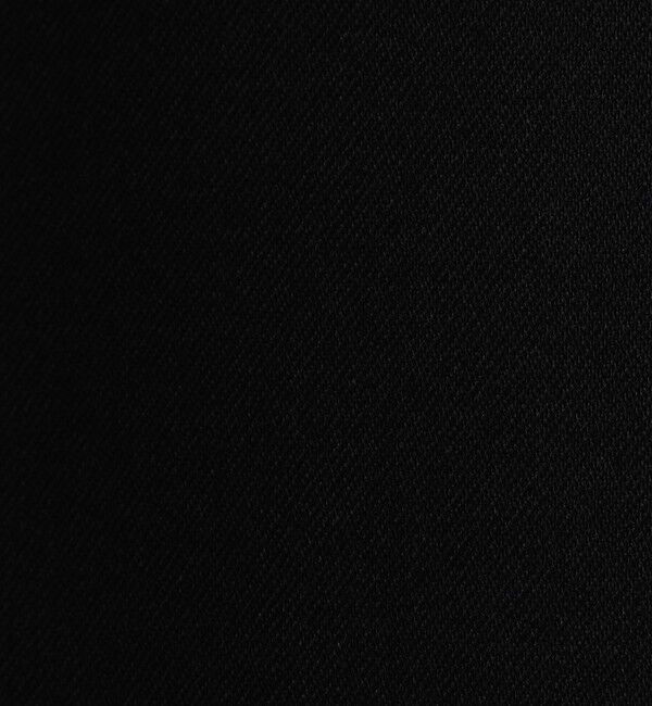 Edition「Super160's ウールツイル Iラインスカート」|スカート|