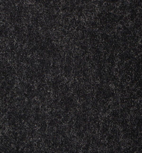 Edition「ウールメルトンポプリン クロップドシャツ」|シャツ・ブラウス|