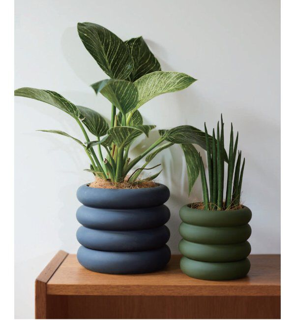 journal standard Furniture「POT VIENO 16　プラントポット 鉢 ヴィエノ」|その他|
