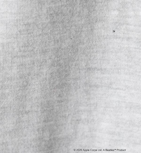 Rouge vif「【GOOD ROCK SPEED/グッドロックスピード】ロゴT / THE BE」|Tシャツ・カットソー|