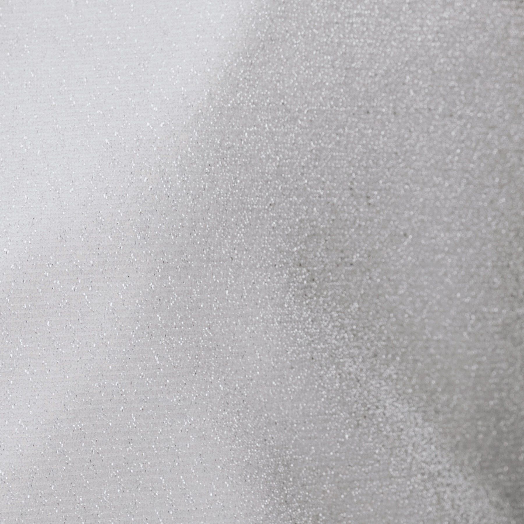 UNTITLED「【洗える】ラメシアーTシャツ」|Tシャツ・カットソー|