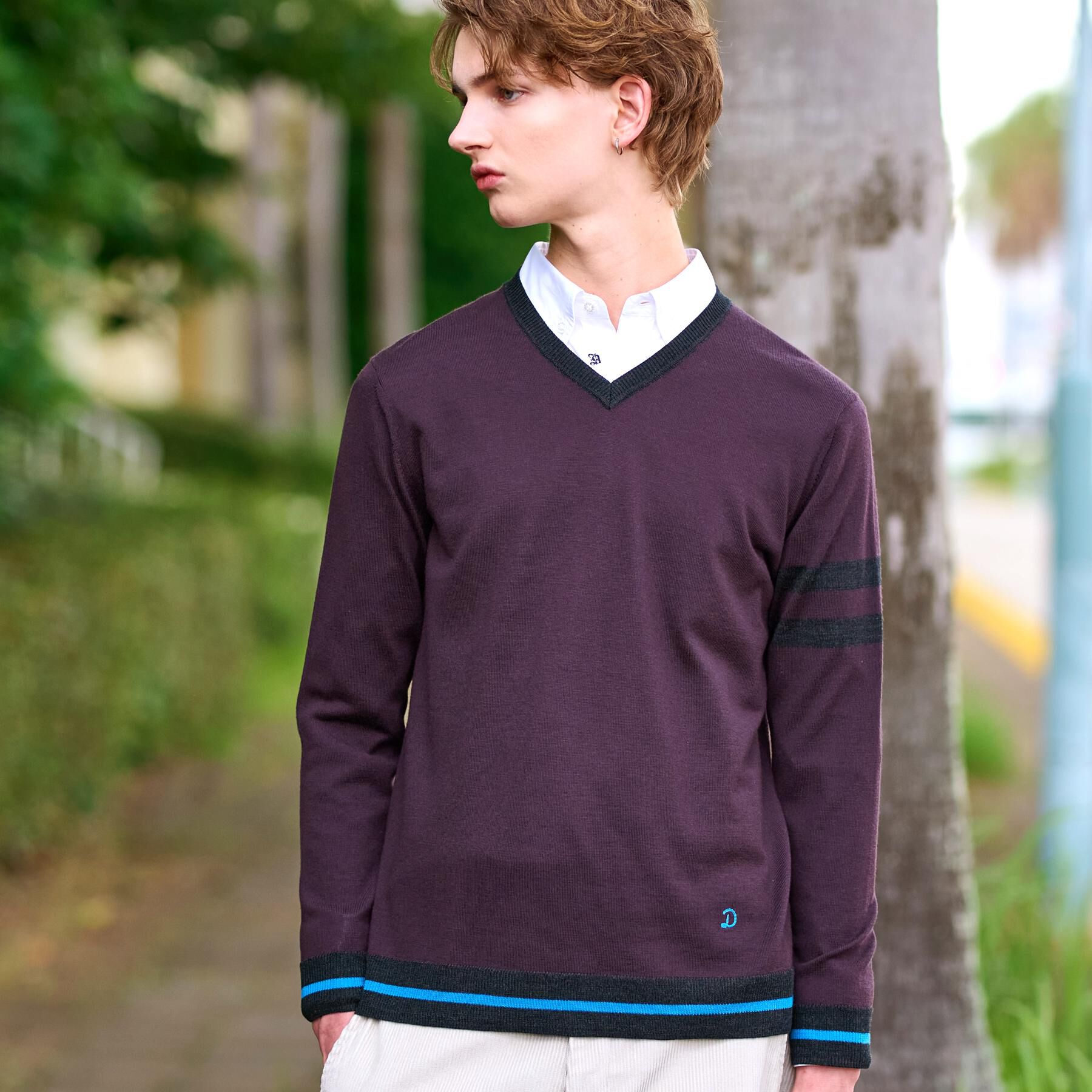 DRESSTERIOR「ウォッシャブルファインメリノ Vネックニット」|ニット・セーター|