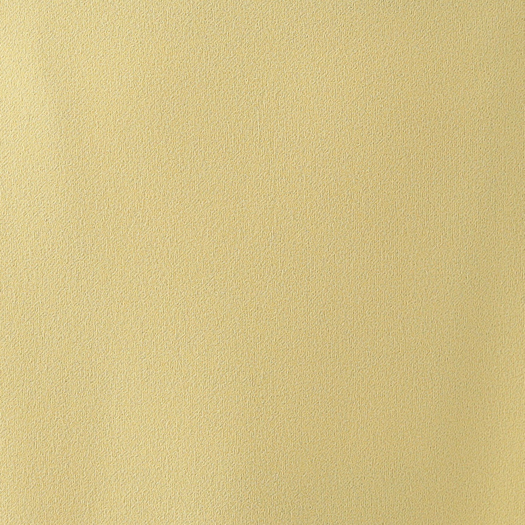 SHOO･LA･RUE「【洗える】洗濯後しわになりにくい カットジョーゼット ナロースカート」|スカート|