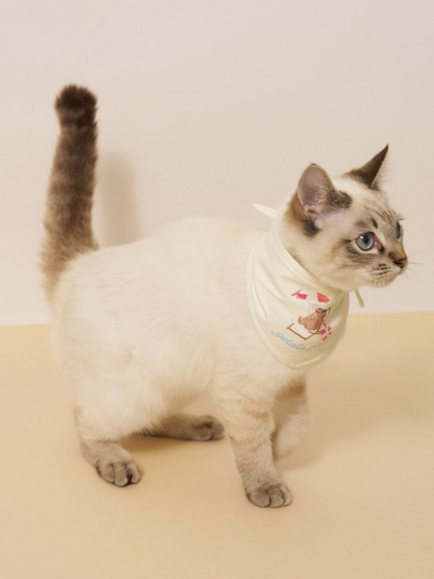  GELATO PIQUE CAT&DOG「【CAT&DOG】サマーベア柄保冷剤入れバンダナ」|その他|