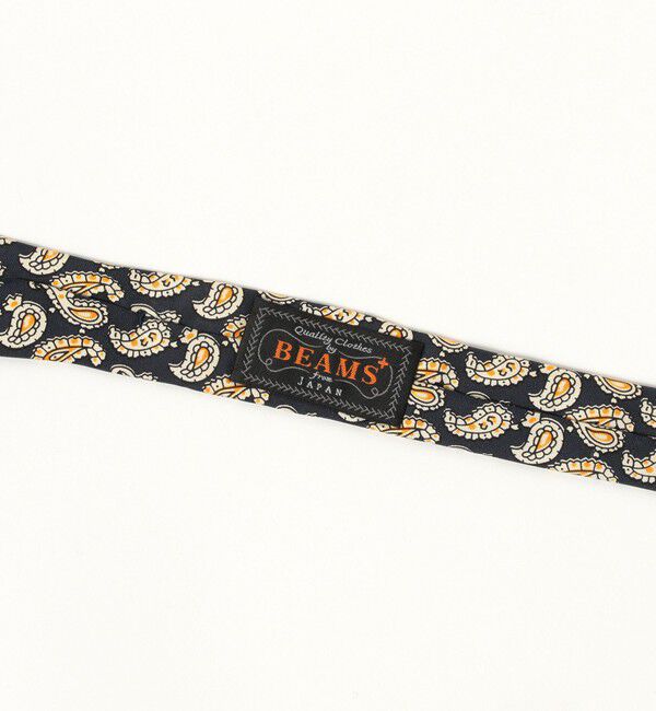 BEAMS PLUS「BEAMS PLUS / Silk Tie Paisley Print」|ネクタイ・蝶ネクタイ|
