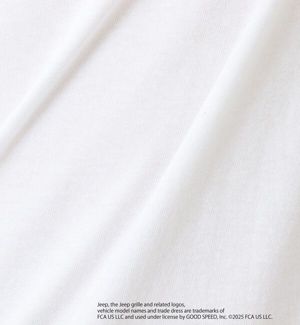 NOLLEY'S goodman「【GOOD ROCK SPEED】別注 アーティスト/バンド/企業/キャラクター プリントロンT 25AW」|Tシャツ・カットソー|