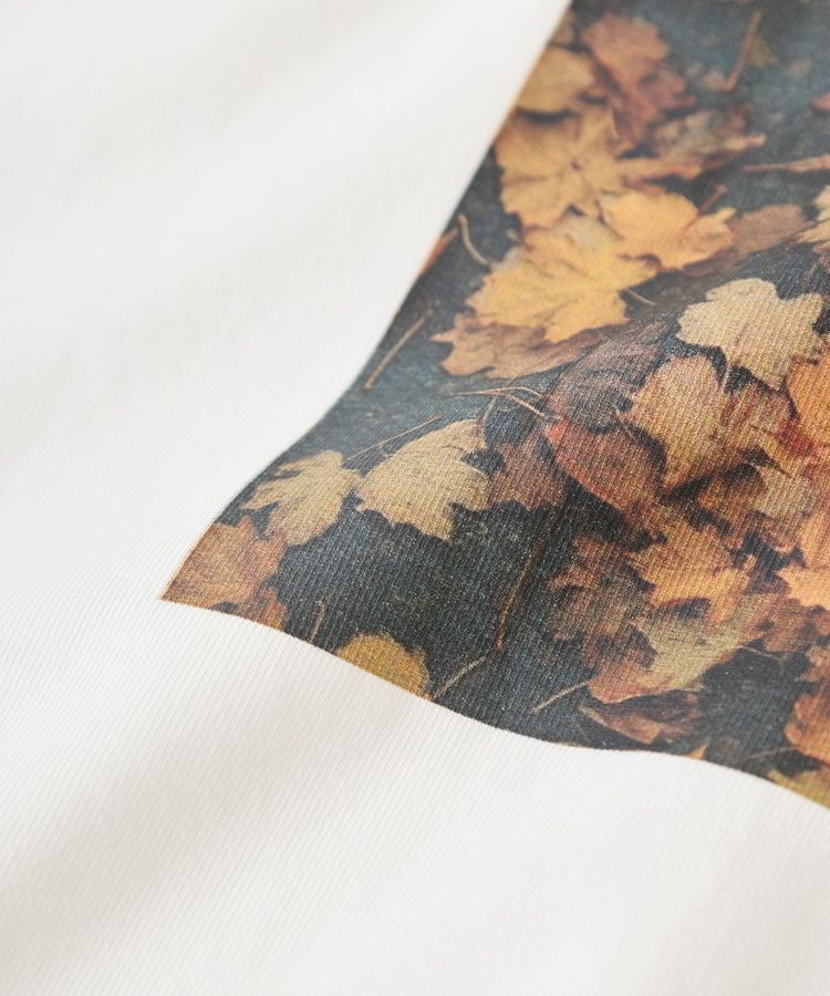 earth music&ecology「アソートプリントワイドTee」|Tシャツ・カットソー|