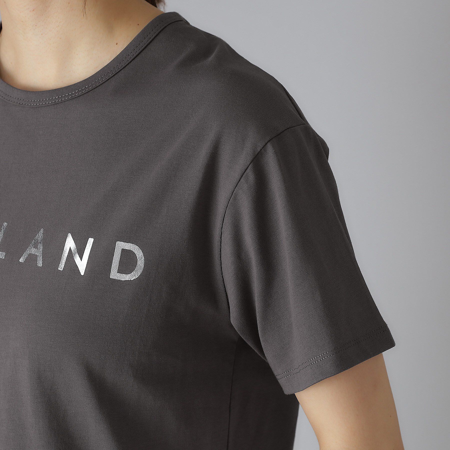 DRESSTERIOR「20／1シルケット風天竺Tシャツ」|Tシャツ・カットソー|