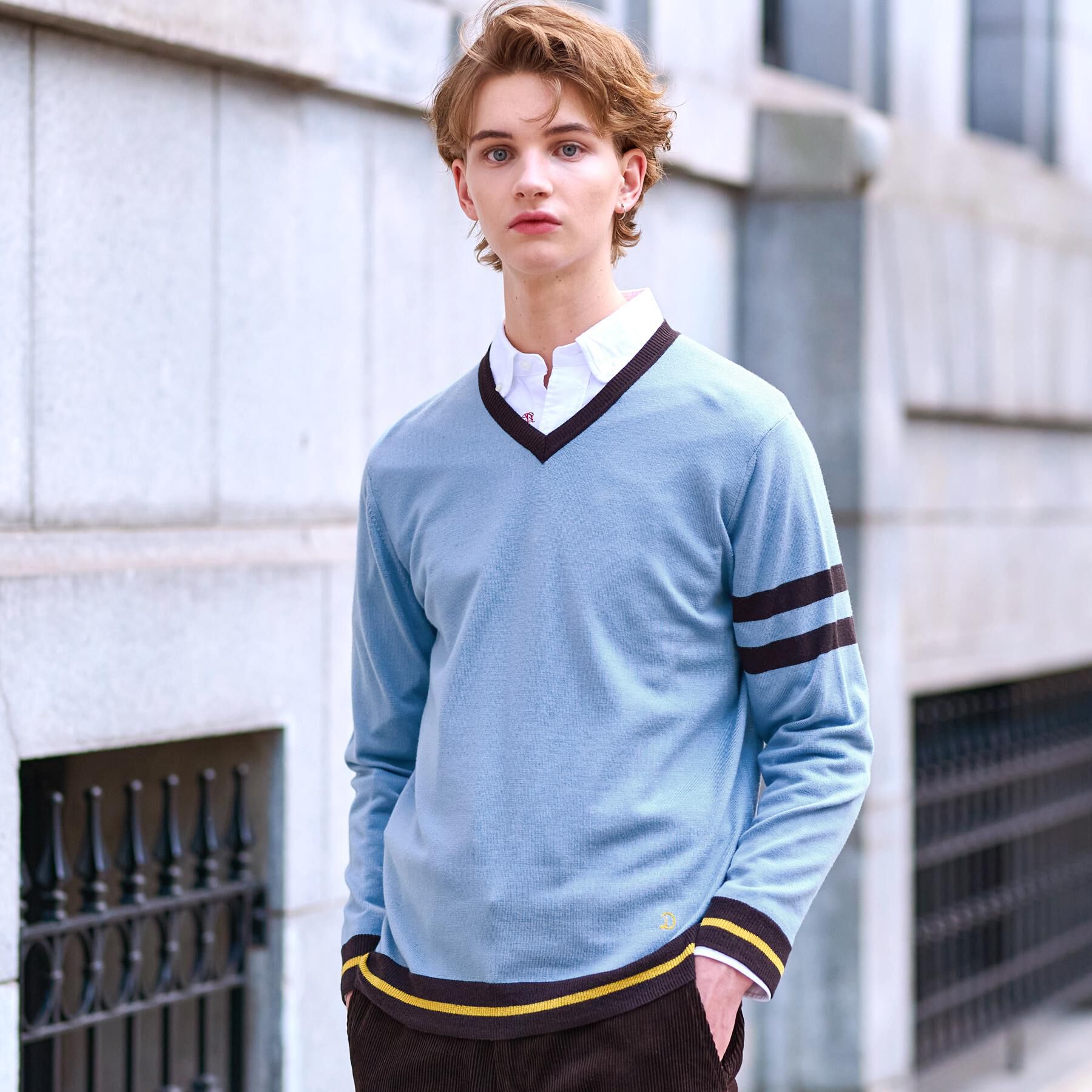 DRESSTERIOR「ウォッシャブルファインメリノ Vネックニット」|ニット・セーター|サックスブルー(09