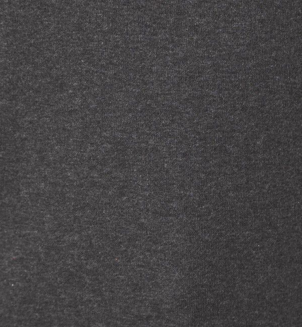 UNITED ARROWS green label relaxing「【別注】＜PETIT BATEAU＞ショートスリーブ プリント Tシャツ」|Tシャツ・カットソー|