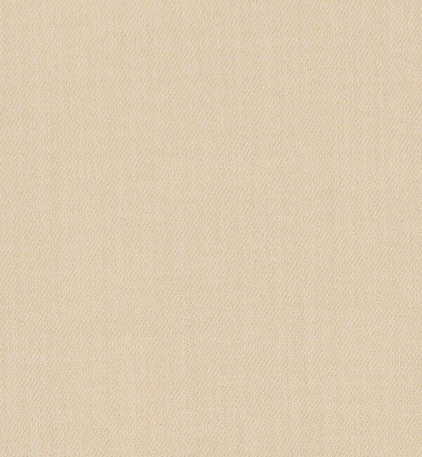 Ballsey「【一部WEB先行予約】ポリエステルツイル ２タックスラックスパンツ」|その他|