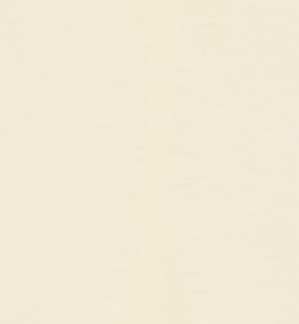 BACCA「テンセルシルク ベーシックカットソー」|Tシャツ・カットソー|