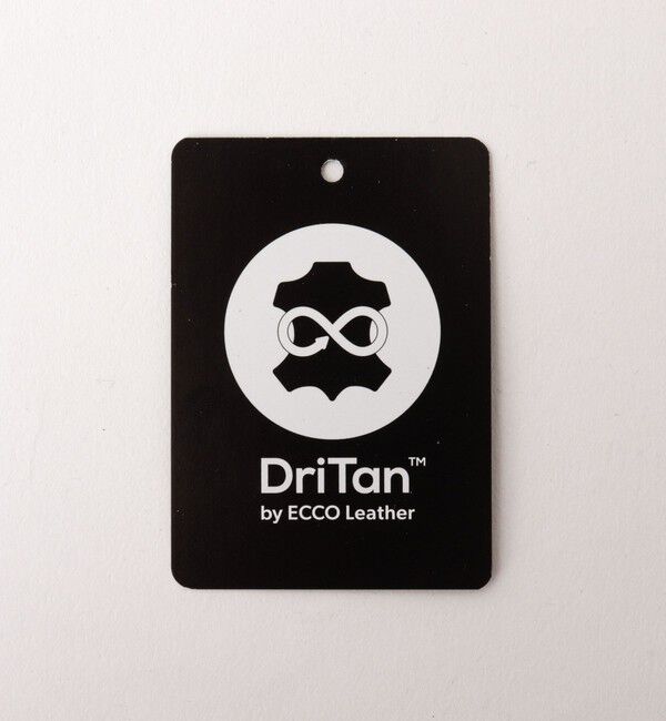 NOLLEY'S goodman「【CONVERSE/コンバース】ALL STAR COUPE OX」|スニーカー|