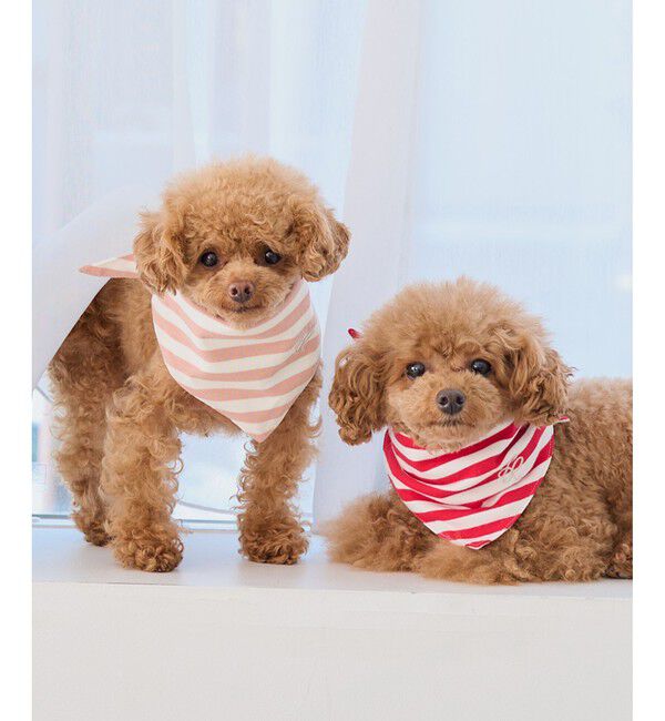 ROPE PICNIC PASSAGE「【DOG】バンダナ スカーフ」|その他|