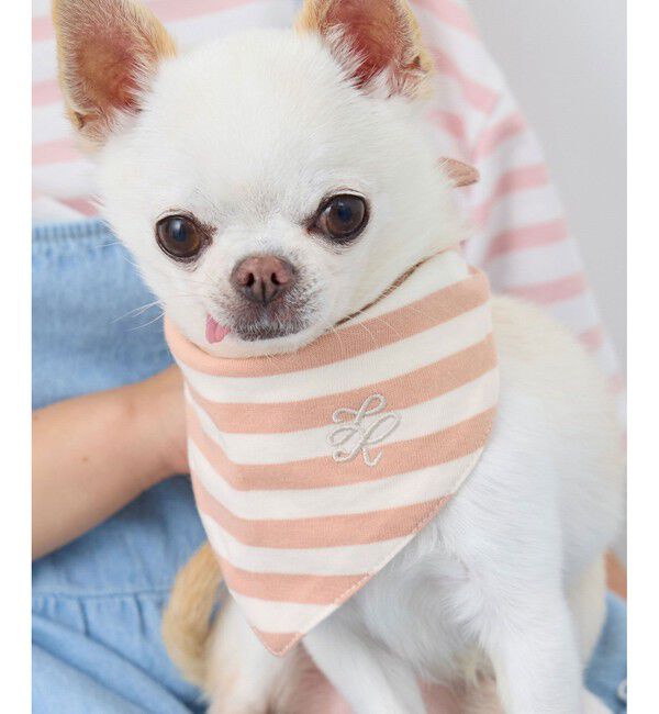 ROPE PICNIC PASSAGE「【DOG】バンダナ スカーフ」|その他|