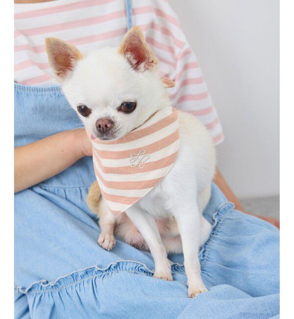 ROPE PICNIC PASSAGE「【DOG】バンダナ スカーフ」|その他|