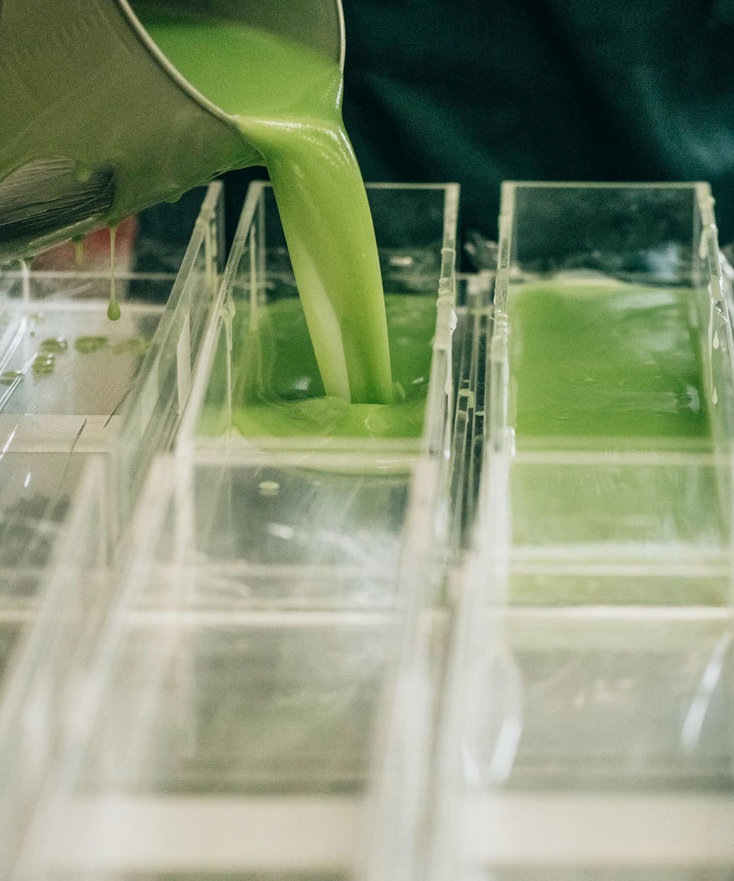 URBAN RESEARCH「Ladybug　グリーンティ」|その他|