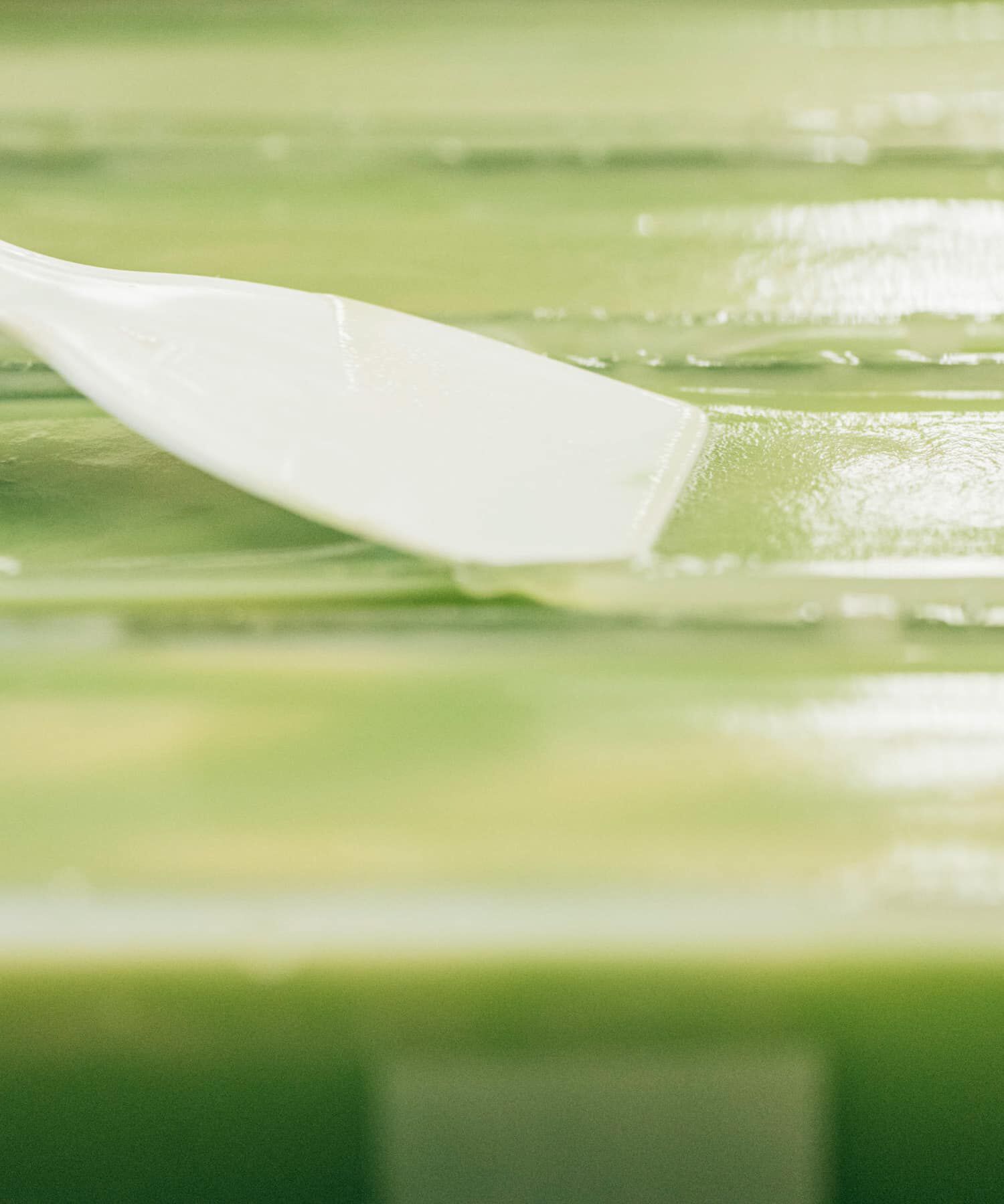 URBAN RESEARCH「Ladybug　グリーンティ」|その他|