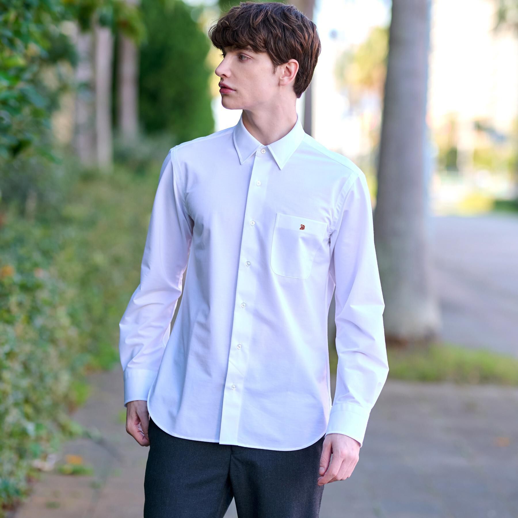 DRESSTERIOR「46Gジャージ レギュラーカラードレスシャツ」|シャツ・ブラウス|