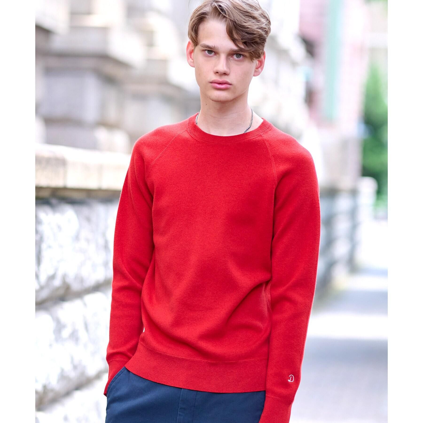 DRESSTERIOR「ウォッシャブル コットンカシミヤスムースニット」|ニット・セーター|レッド(062)