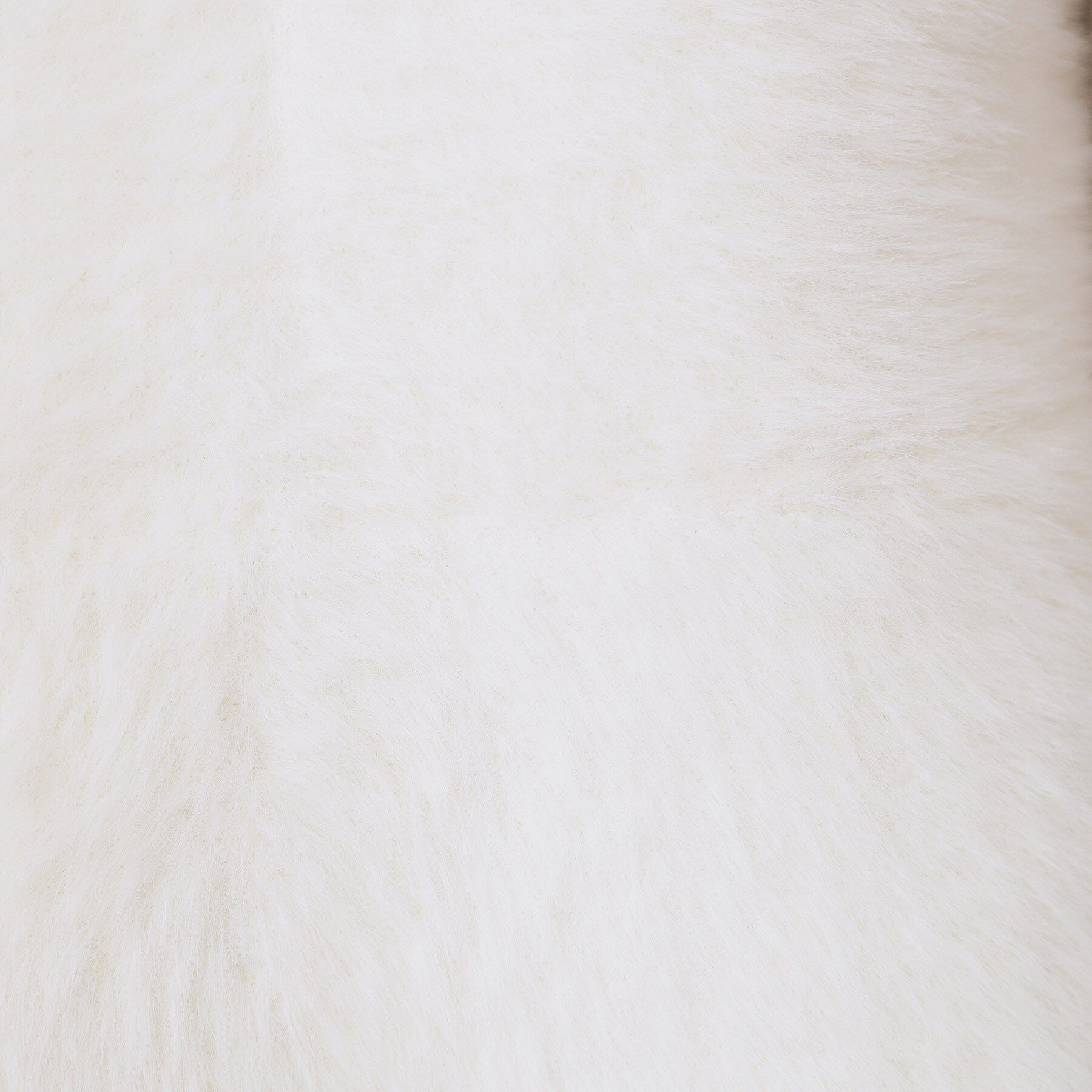 index「フェザーペプラムジレ【洗濯機OK/抗ピル】」|ベスト・ジレ|